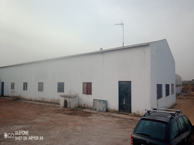 Nave Industrial en venta con 1375 m2,  en Aznalcázar, ZONA DE LA ESCUADRA